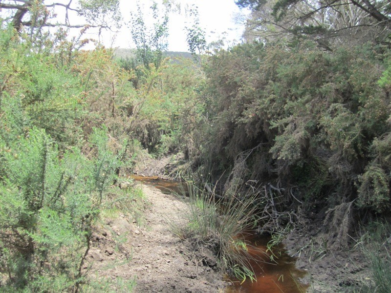 Piece 67 Parawa Road, Torrens Vale SA 5203