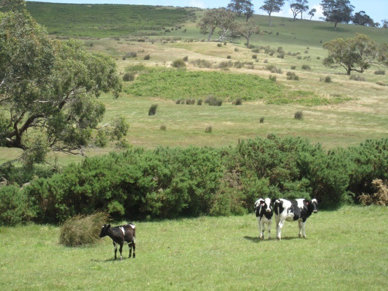 Piece 67 Parawa Road, Torrens Vale SA 5203