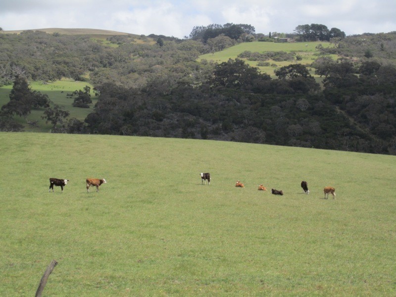 Pieces 64-66 Parawa Road, Torrens Vale SA 5203