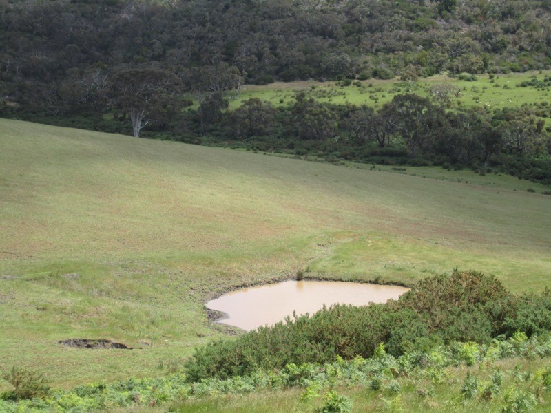 Pieces 64-66 Parawa Road, Torrens Vale SA 5203