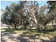 Lot 5 Cleland Gully Road, Tooperang SA 5255