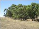 Lot 5 Cleland Gully Road, Tooperang SA 5255