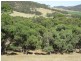 Lot 5 Cleland Gully Road, Tooperang SA 5255