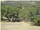 Lot 5 Cleland Gully Road, Tooperang SA 5255