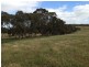 Lot 5 Cleland Gully Road, Tooperang SA 5255