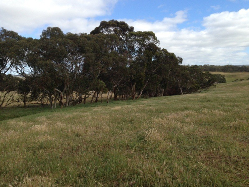 Lot 5 Cleland Gully Road, Tooperang SA 5255