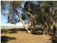 Lot 5 Cleland Gully Road, Tooperang SA 5255