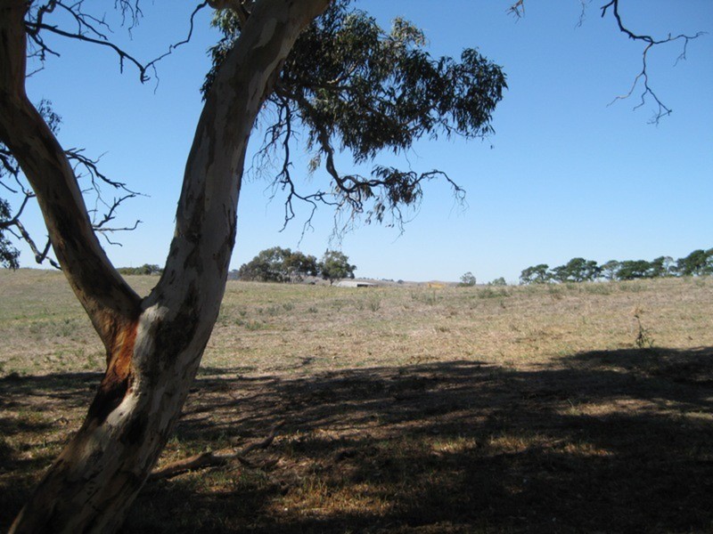 Lot 5 Cleland Gully Road, Tooperang SA 5255