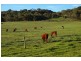 128 Enterprise Road, Yundi SA 5172
