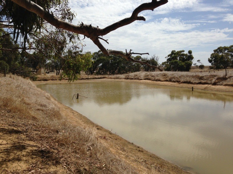 1419 Alexandrina  Road, Finniss SA 5255