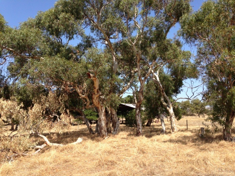 1419 Alexandrina  Road, Finniss SA 5255