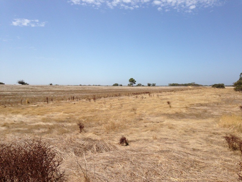 1419 Alexandrina  Road, Finniss SA 5255