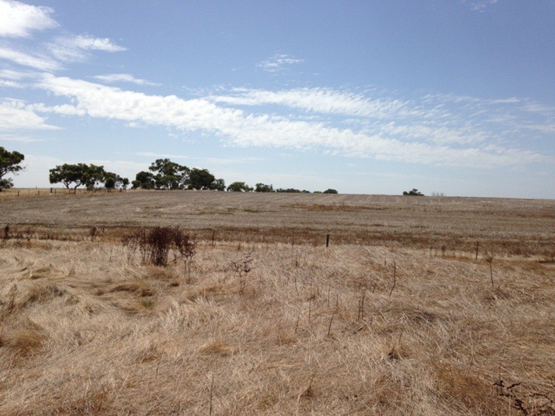 1419 Alexandrina  Road, Finniss SA 5255