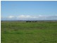 Lots 105-108 Lake  Road, Milang SA 5256
