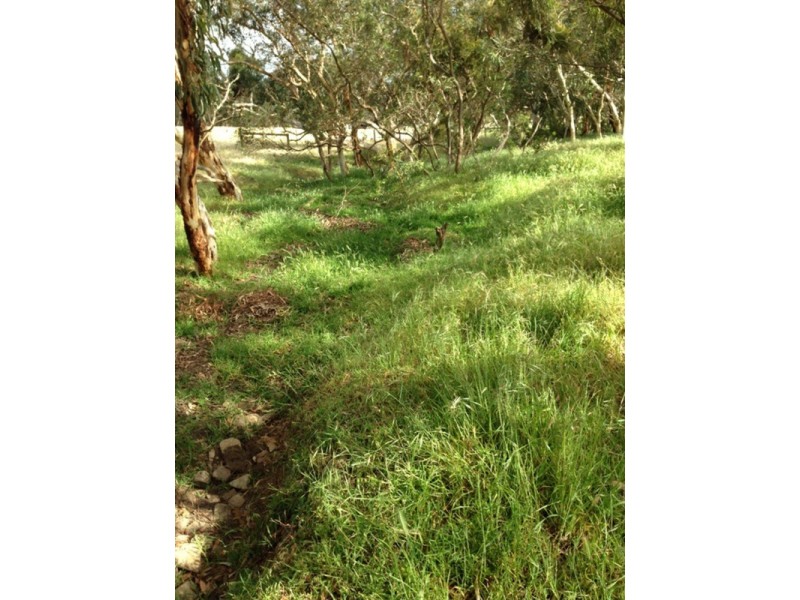 Lot 5 Cleland Gully  Road, Tooperang SA 5255
