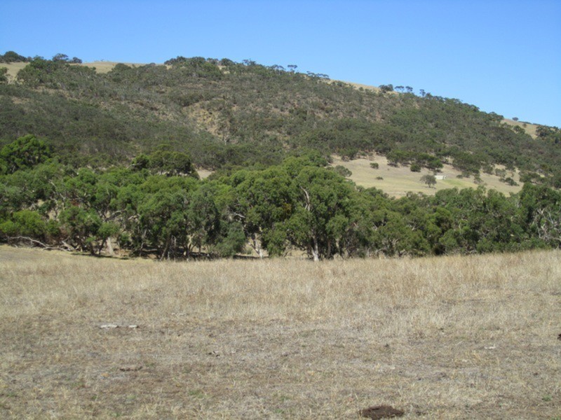 Lot 5 Cleland Gully  Road, Tooperang SA 5255