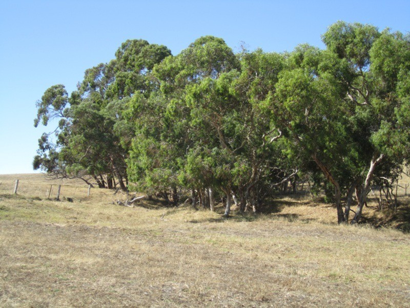 Lot 5 Cleland Gully  Road, Tooperang SA 5255