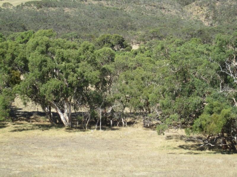 Lot 5 Cleland Gully  Road, Tooperang SA 5255