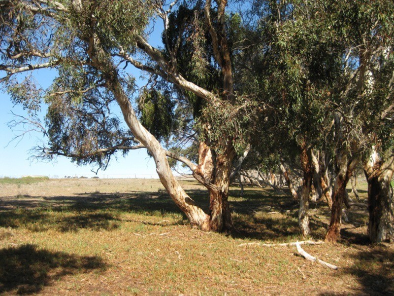 Lot 5 Cleland Gully  Road, Tooperang SA 5255