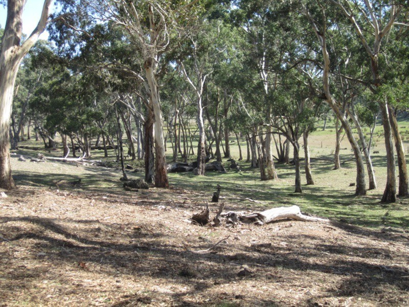 94 Pottery  Road, Hope Forest SA 5172