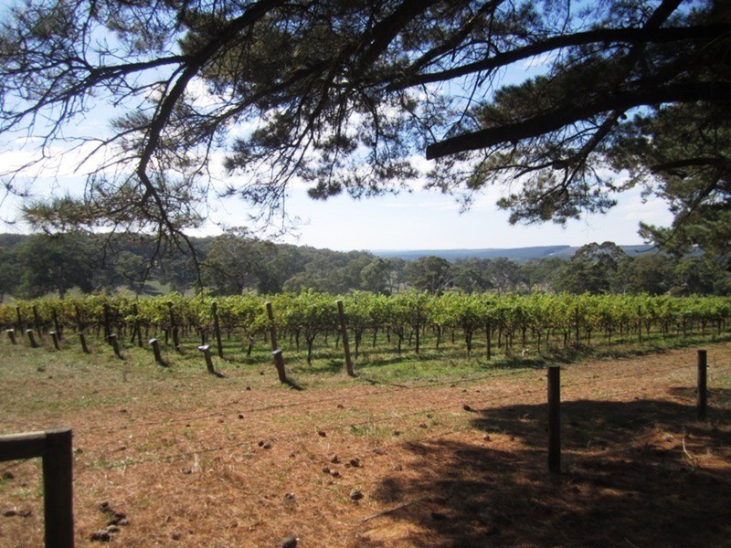 94 Pottery  Road, Hope Forest SA 5172