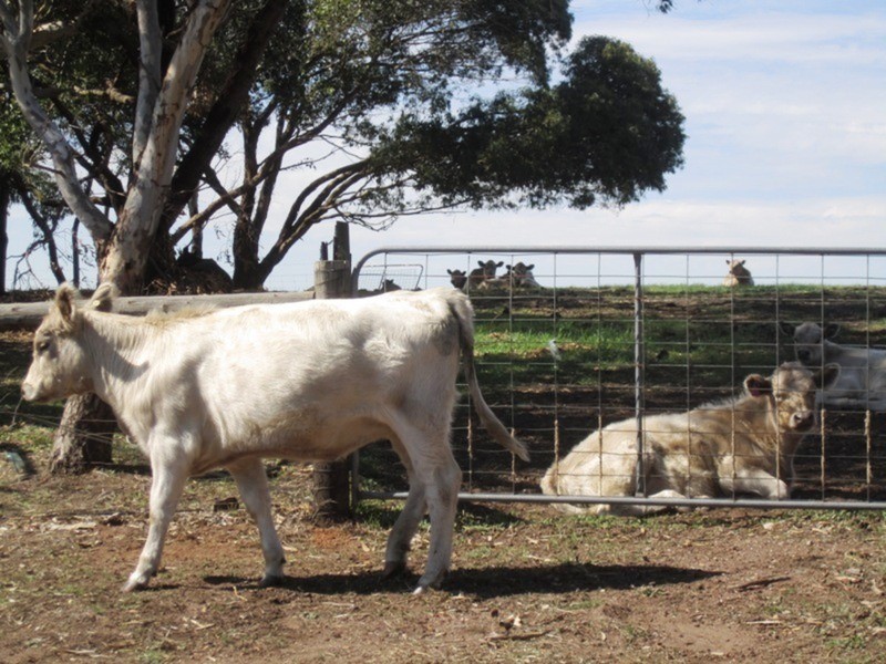 94 Pottery  Road, Hope Forest SA 5172