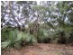Lot 15 Rarkang Road, Silverton SA 5204