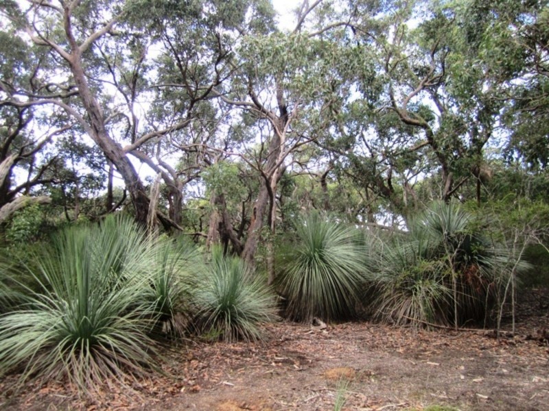 Lot 15 Rarkang Road, Silverton SA 5204