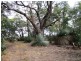 Lot 15 Rarkang Road, Silverton SA 5204