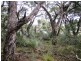 Lot 15 Rarkang Road, Silverton SA 5204