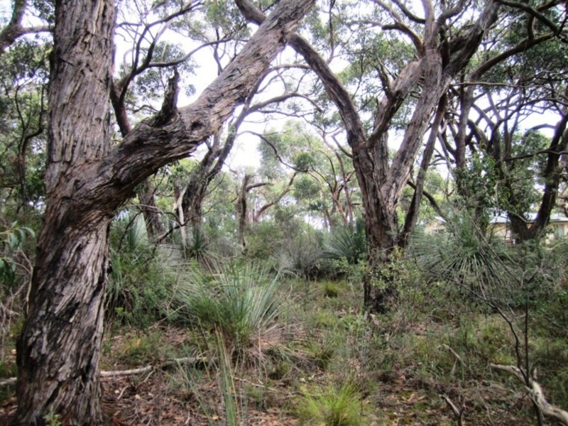 Lot 15 Rarkang Road, Silverton SA 5204