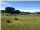 Lot 22 Baudin Crescent, Mount Compass SA 5210