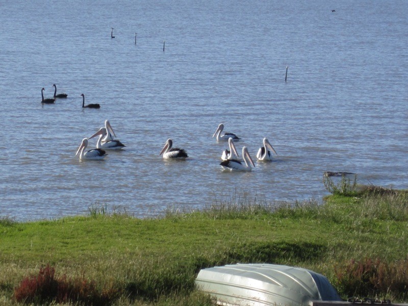 Lot 103 Lake Road, Milang SA 5256