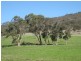 Lot 8 Cleland Gully  Road, Mount Compass SA 5210