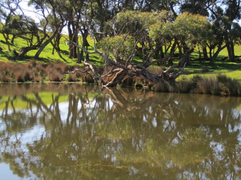 234 Trig Point Road, Myponga SA 5202