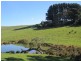 234 Trig Point Road, Myponga SA 5202