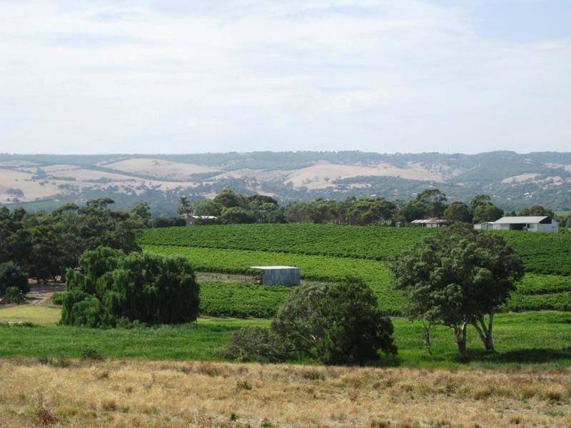 LOT 50 Pethick Road, Mclaren Vale SA 5171
