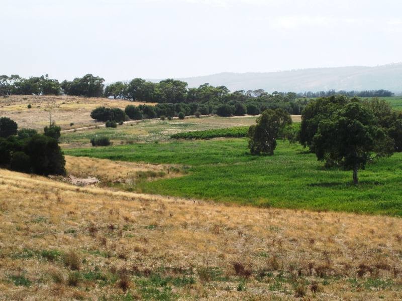 LOT 50 Pethick Road, Mclaren Vale SA 5171