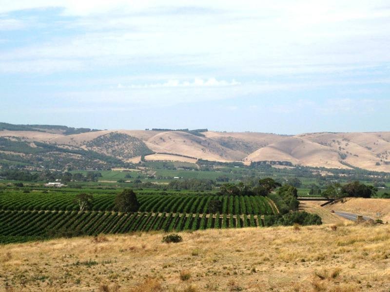 LOT 50 Pethick Road, Mclaren Vale SA 5171