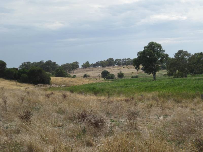 LOT 50 Pethick Road, Mclaren Vale SA 5171
