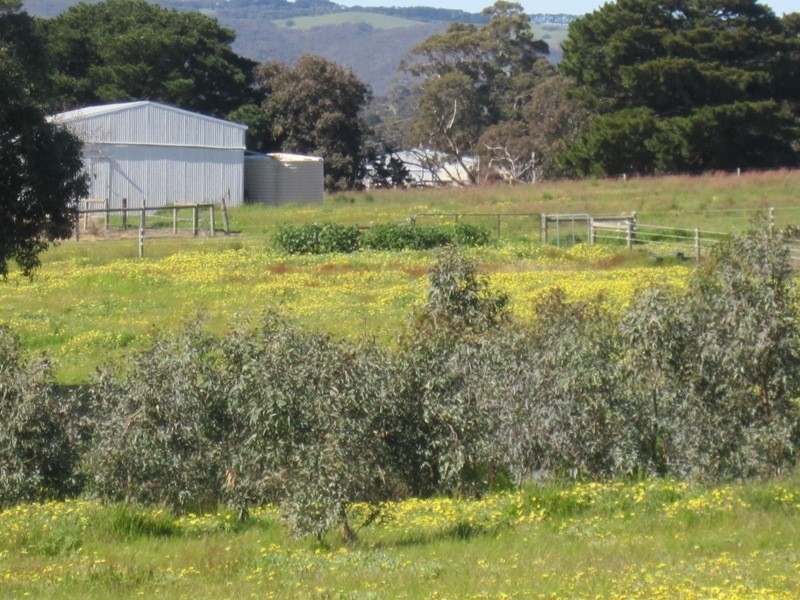 5885 Main South Road, Yankalilla SA 5203