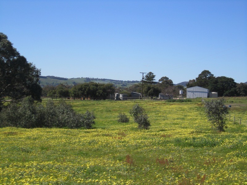 5885 Main South Road, Yankalilla SA 5203