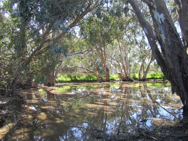 5885 Main South Road, Yankalilla SA 5203