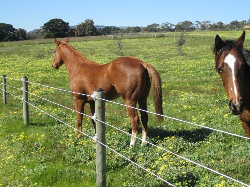 5885 Main South Road, Yankalilla SA 5203