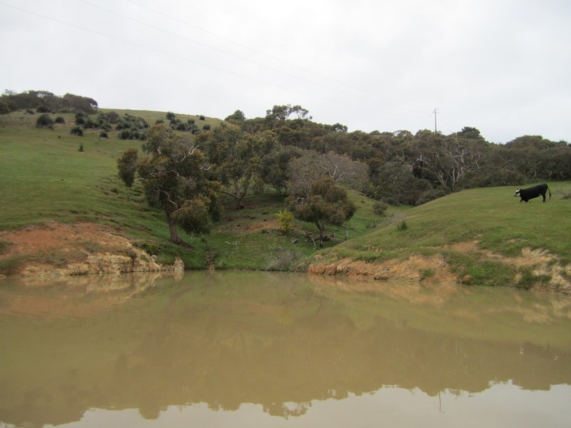 228 Bahloo Glen Road, Mount Compass SA 5210
