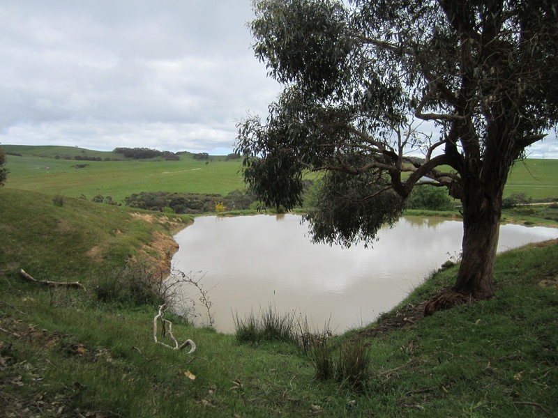 228 Bahloo Glen Road, Mount Compass SA 5210