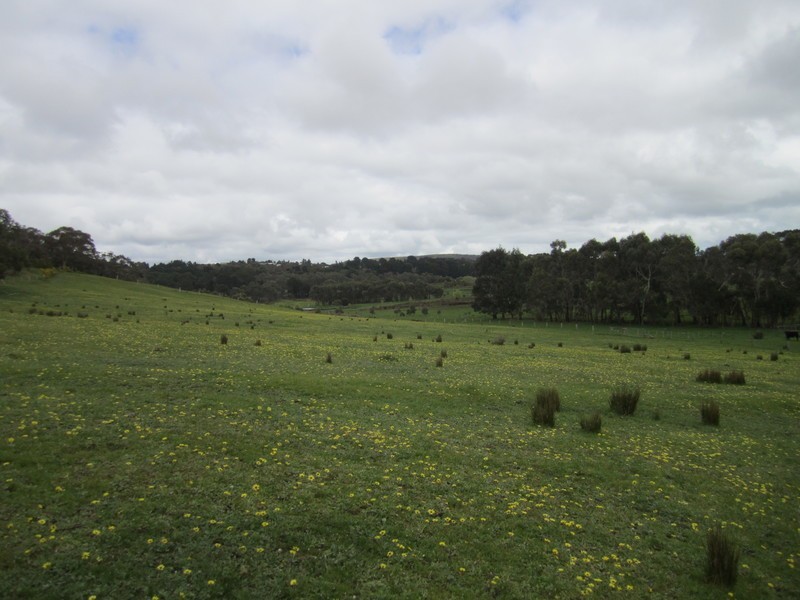 228 Bahloo Glen Road, Mount Compass SA 5210