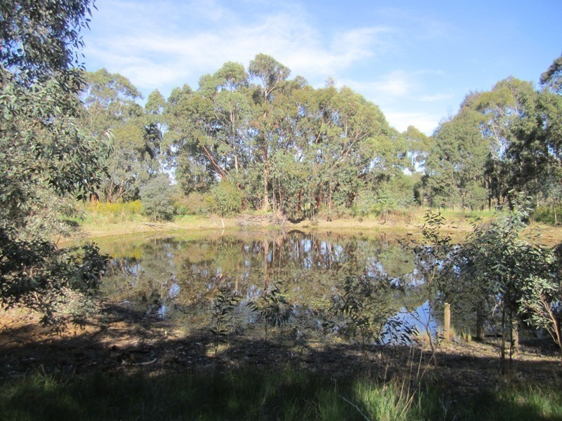 1447 Brookman Road, Hope Forest SA 5172