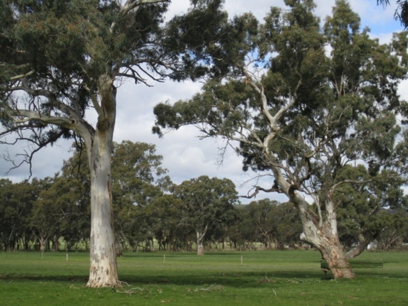 1237 Brookman Road, Hope Forest SA 5172