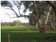 1237 Brookman Road, Hope Forest SA 5172